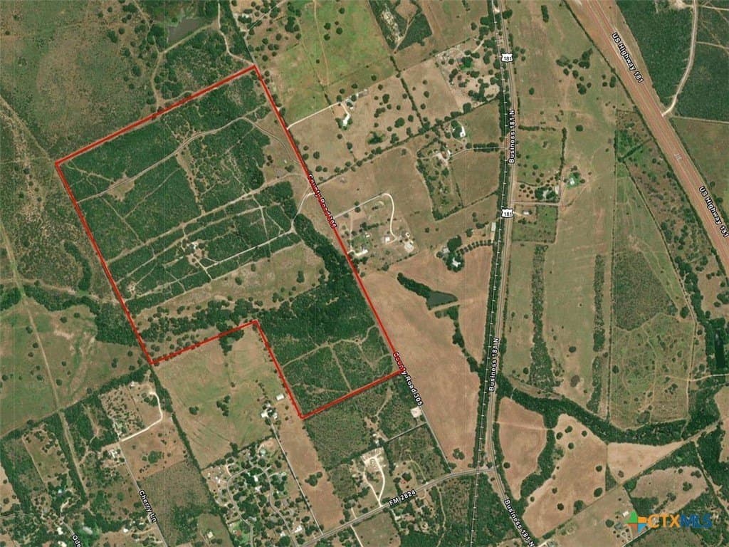160 acres in Bee County - photo 4