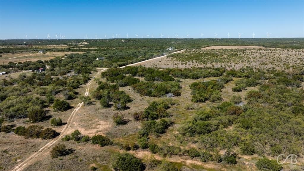 15 acres in Taylor County - photo 14