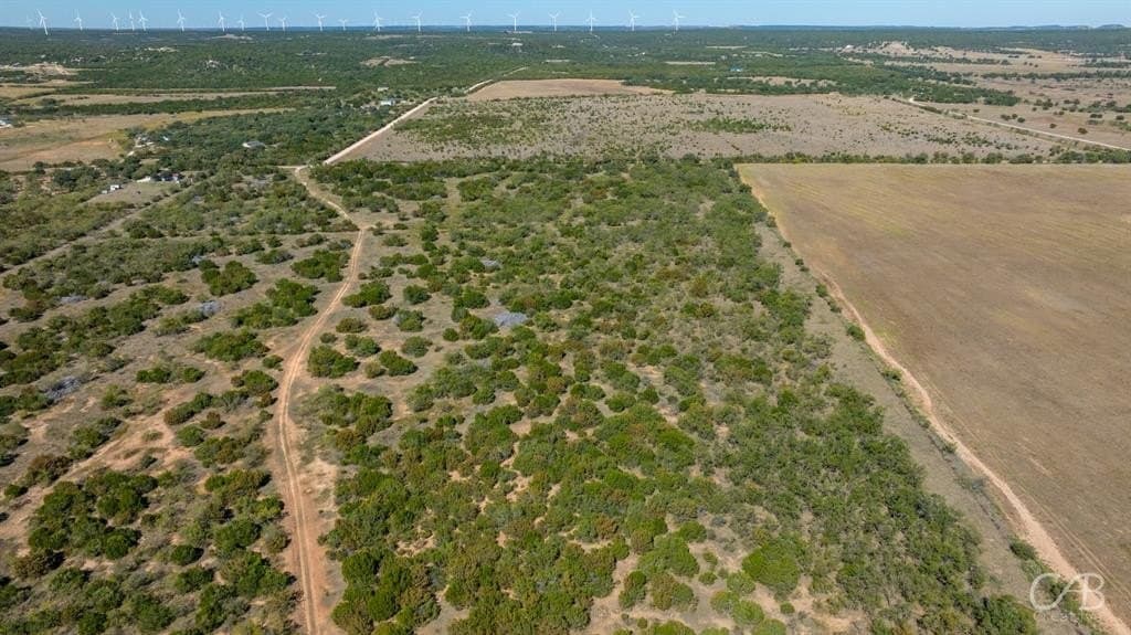 15 acres in Taylor County - photo 4