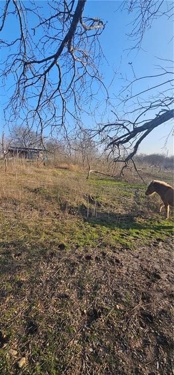 2.43 acres in Hill County - photo 13