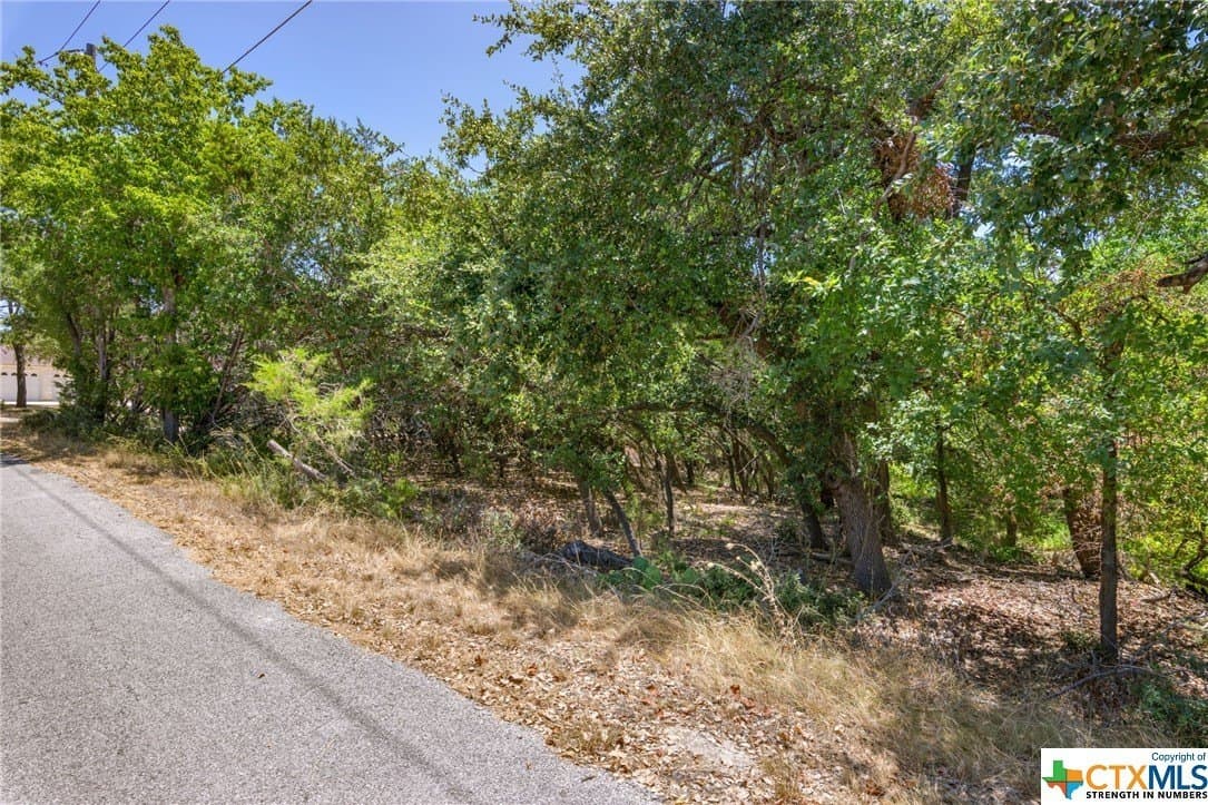 0.32 acres in Travis County - photo 3