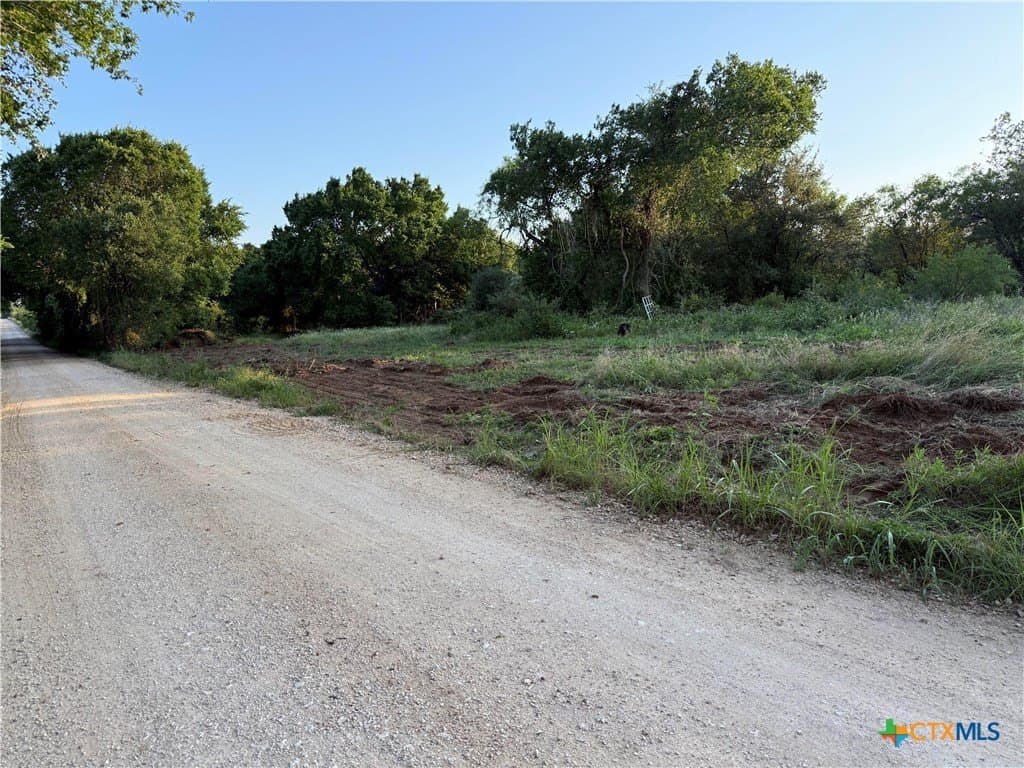 14.97 acres in Gonzales County - photo 5