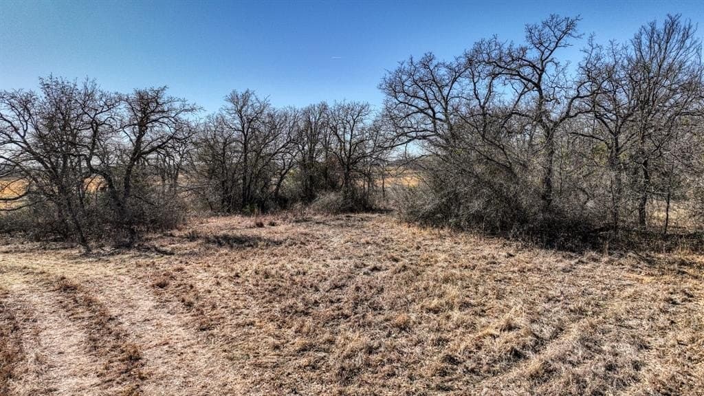 58.39 acres in Wise County - photo 19
