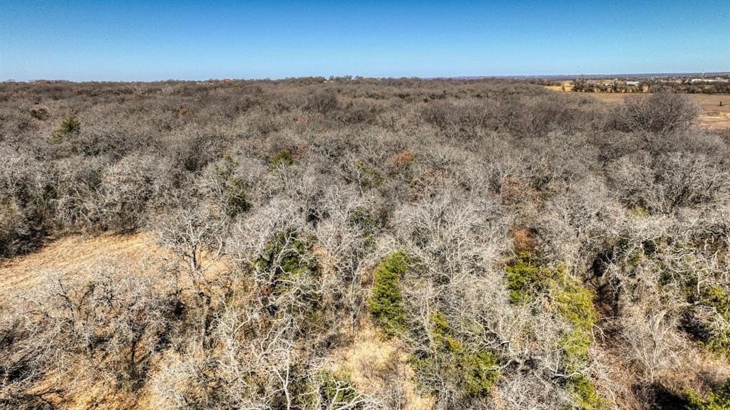 58.39 acres in Wise County - photo 21