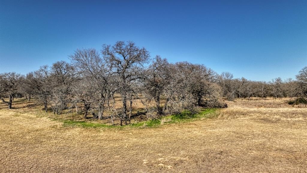 58.39 acres in Wise County - photo 9