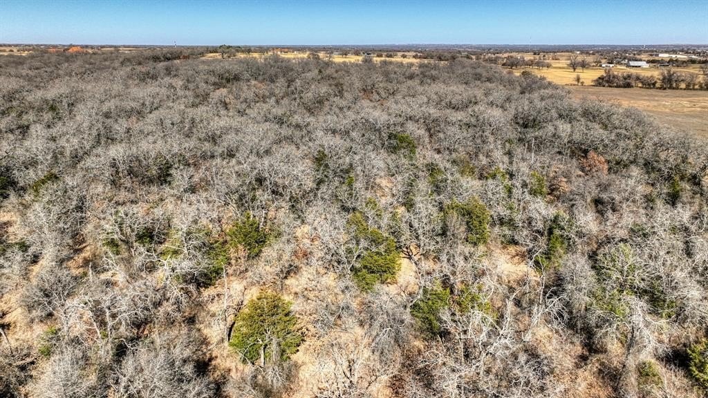 58.39 acres in Wise County - photo 16
