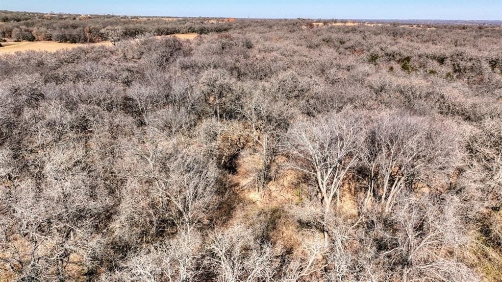 58.39 acres in Wise County - photo 14