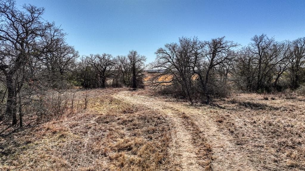 58.39 acres in Wise County - photo 20
