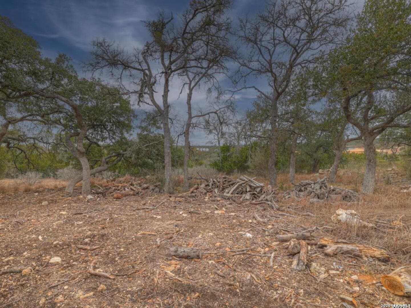 1.03 acres in Comal County - photo 5