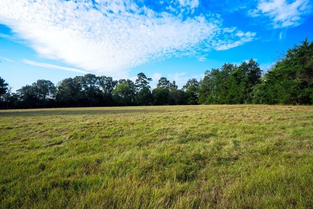 22.4 acres in HOUSTON County - photo 6