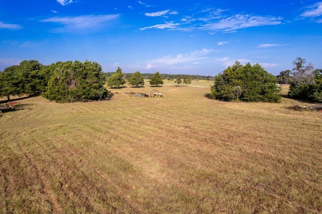 22.4 acres in HOUSTON County - photo 7