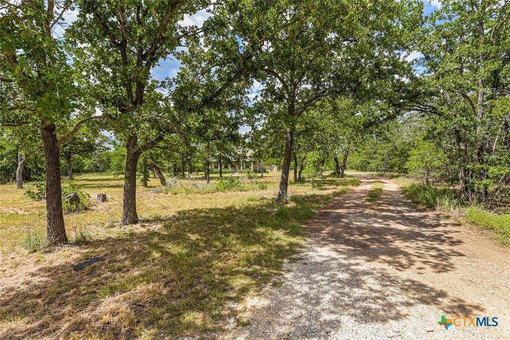 12.74 acres in Bastrop County - photo 2