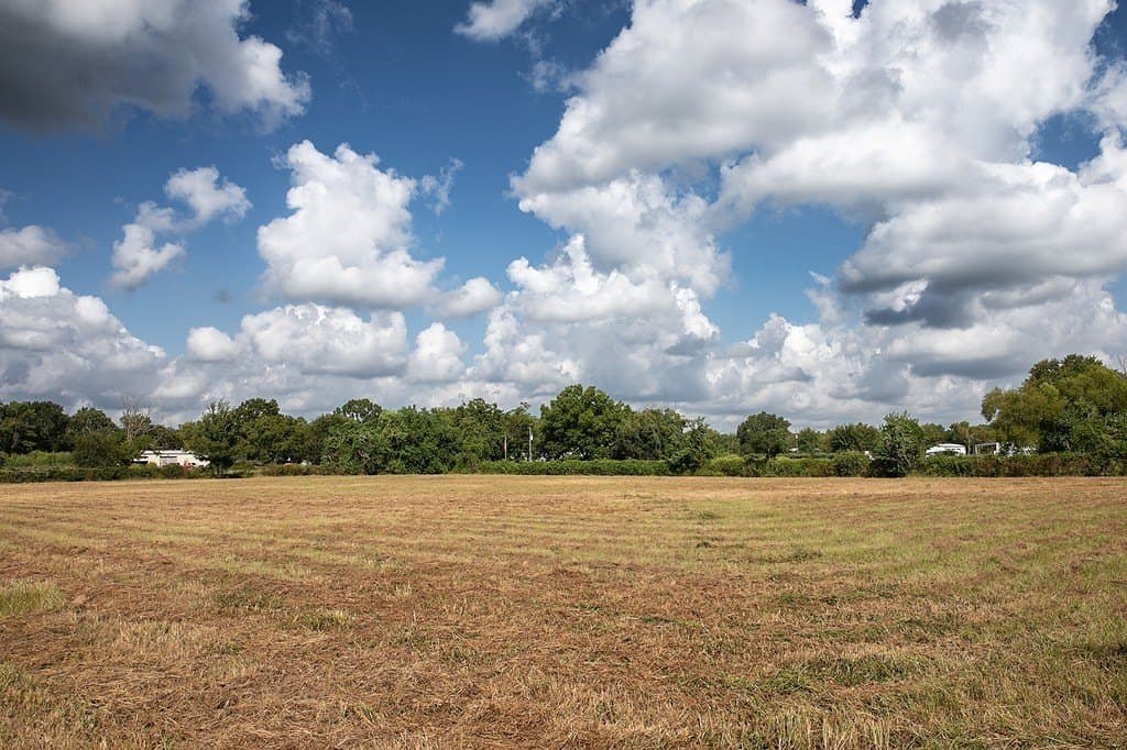 2 acres in Harris County - photo 3