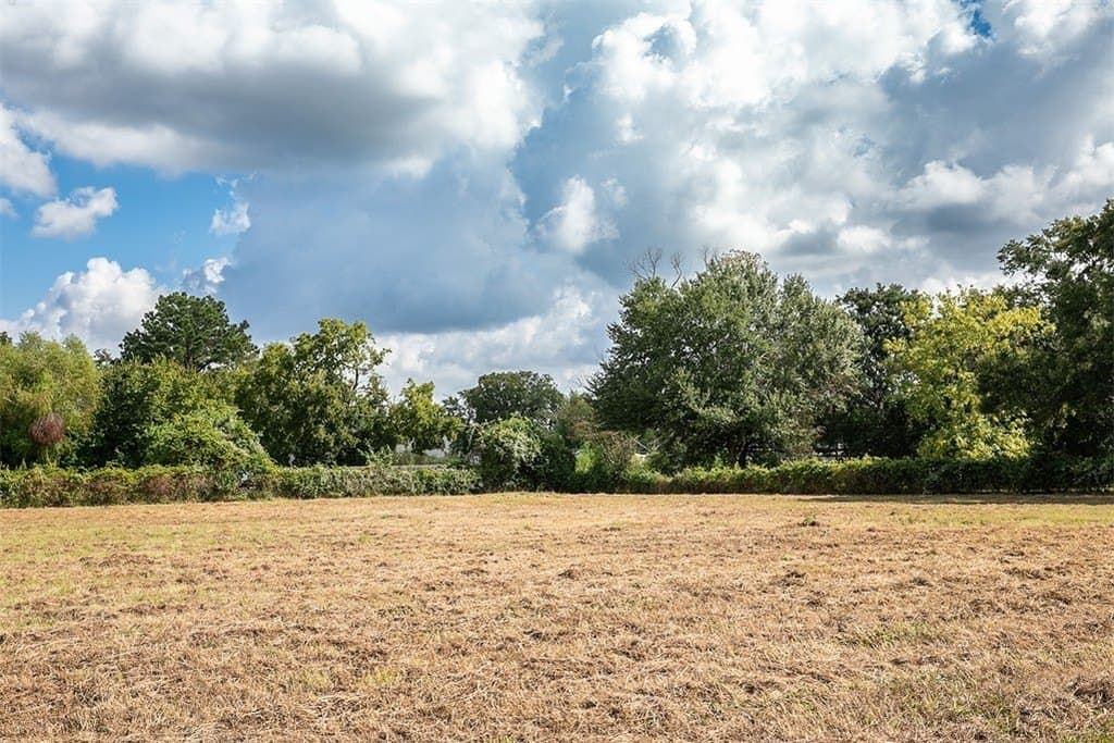 2 acres in Harris County - photo 4