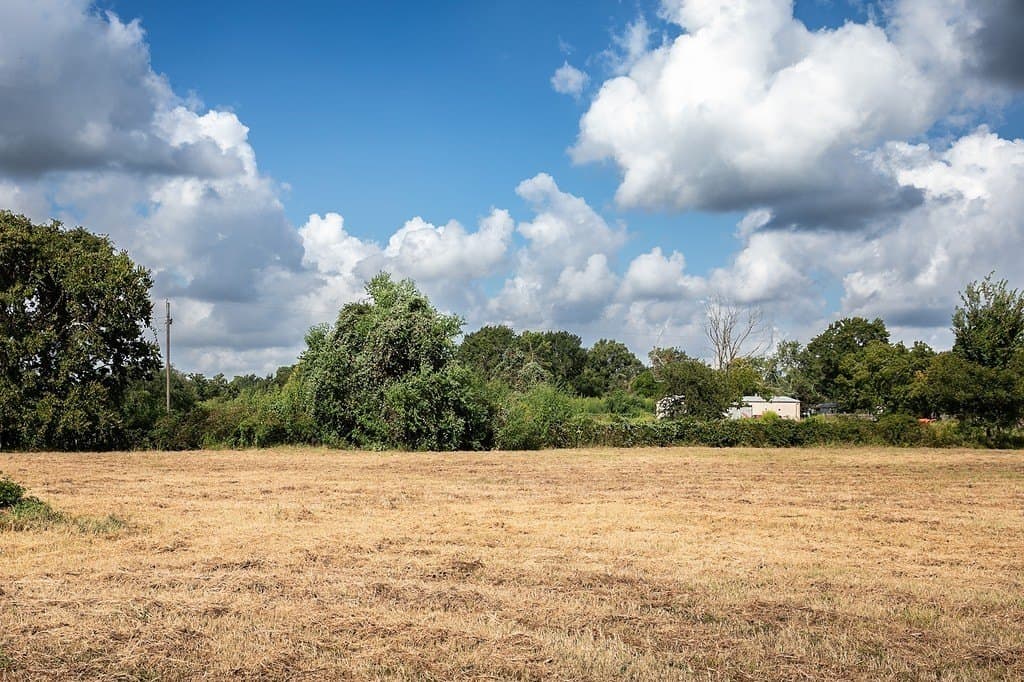 2 acres in Harris County - photo 7