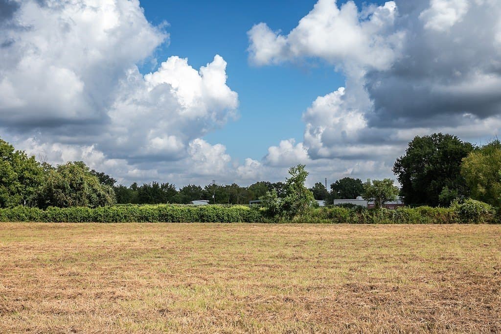 2 acres in Harris County - photo 5