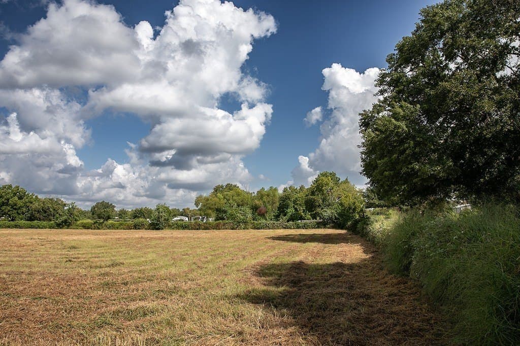 2 Acres Red Fox Road