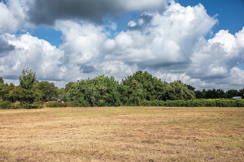 2 acres in Harris County - photo 6