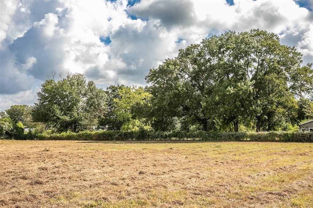 2 acres in Harris County - photo 2