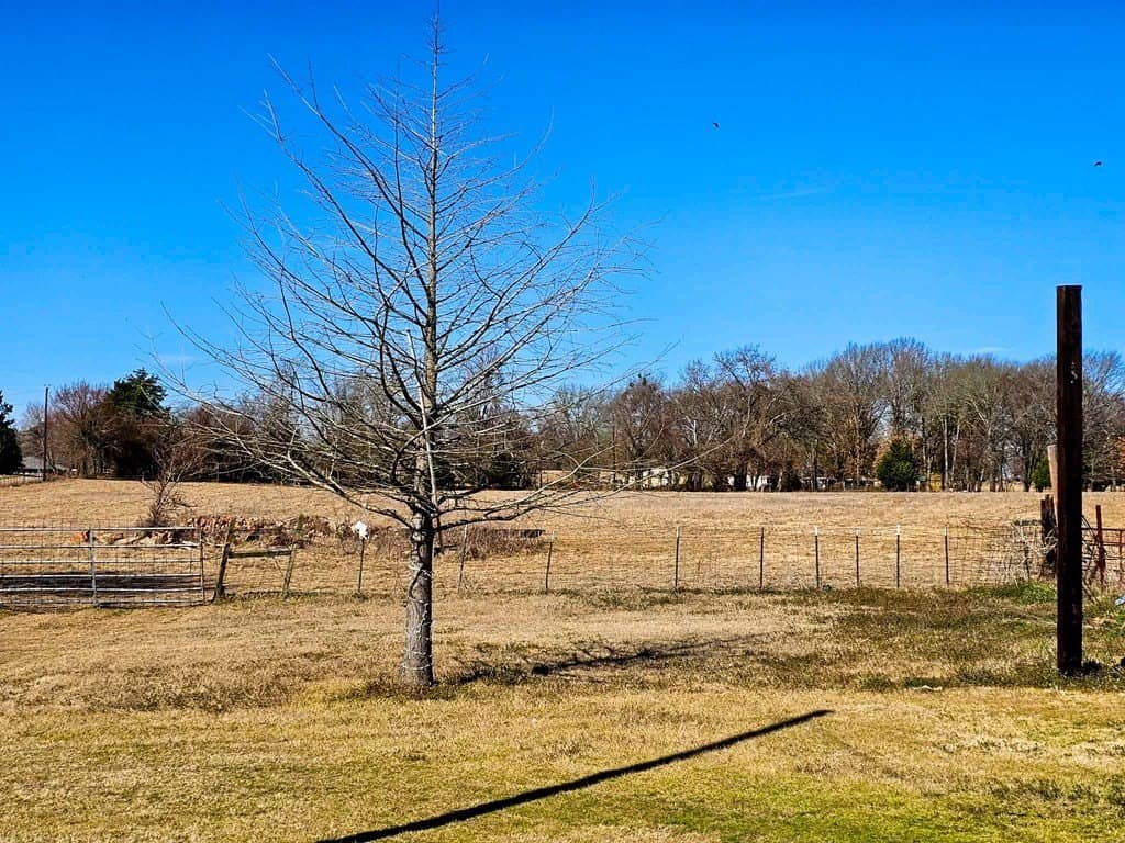 26.04 acres in ANDERSON County - photo 25