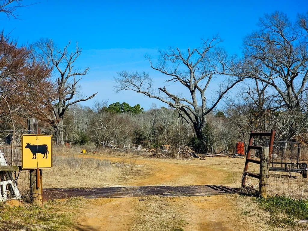 26.04 acres in ANDERSON County - photo 19