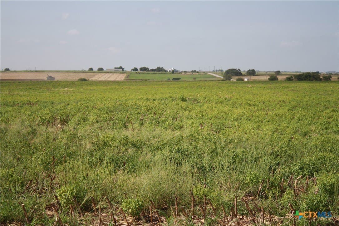 11 acres in Bell County - photo 9