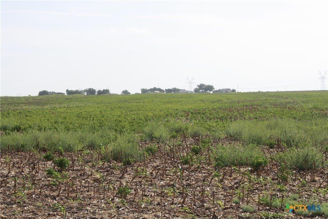 11 acres in Bell County - photo 6