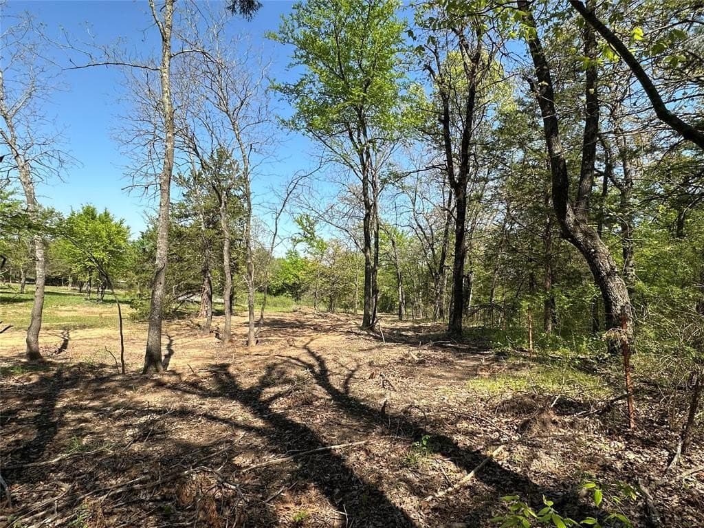 1.26 acres in Cooke County - photo 7