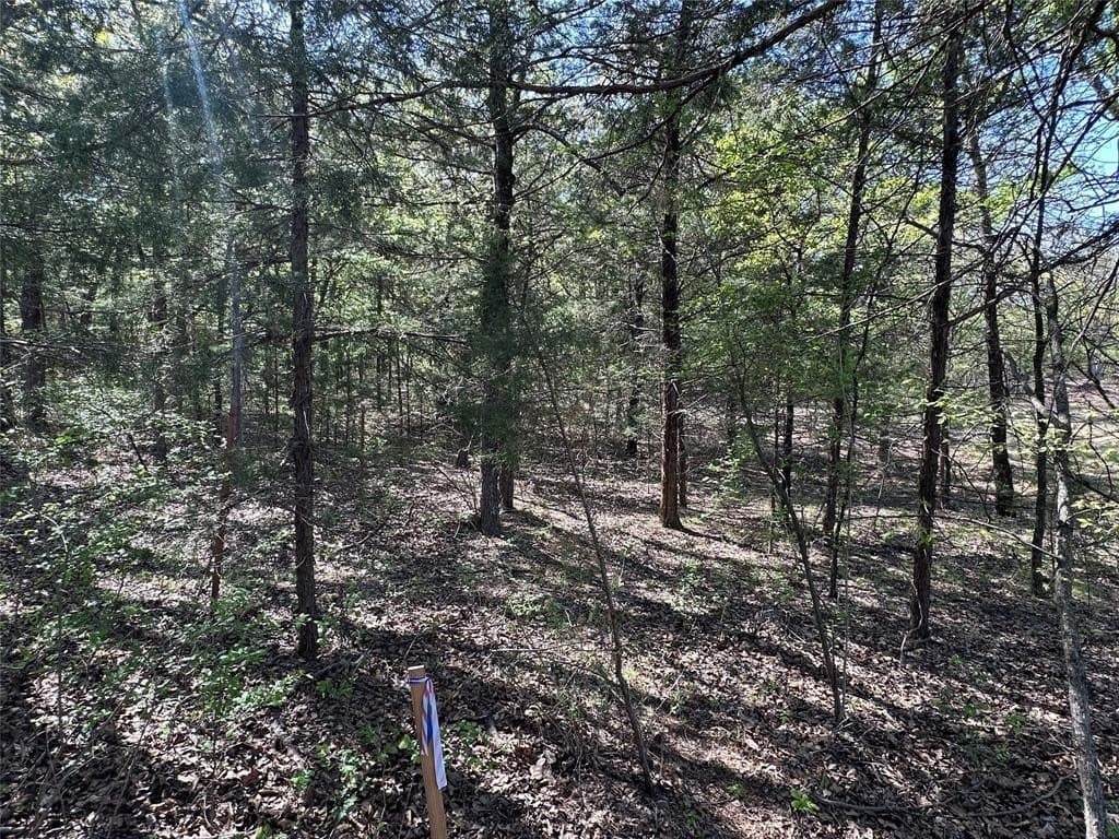 1.26 acres in Cooke County - photo 8