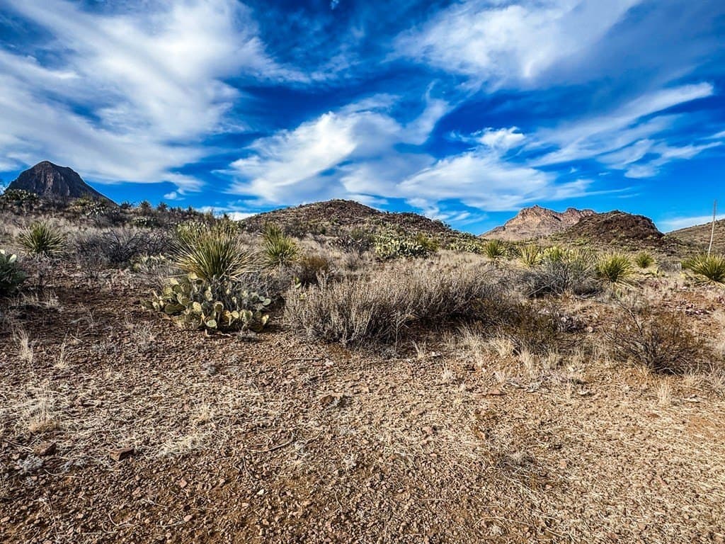 10.06 acres in Brewster County - photo 6
