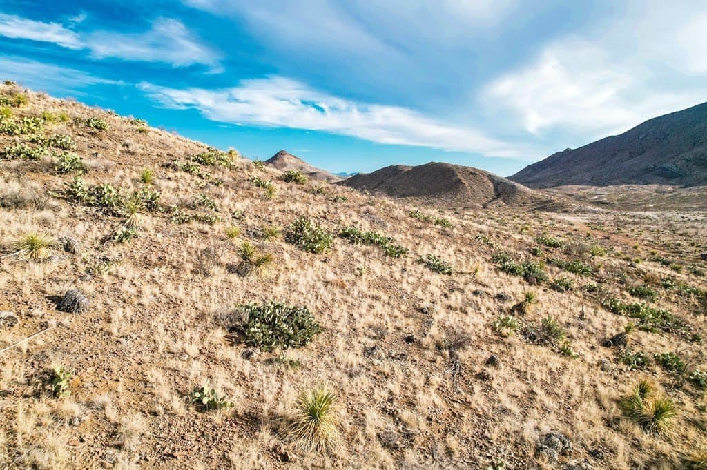 10.06 acres in Brewster County - photo 22
