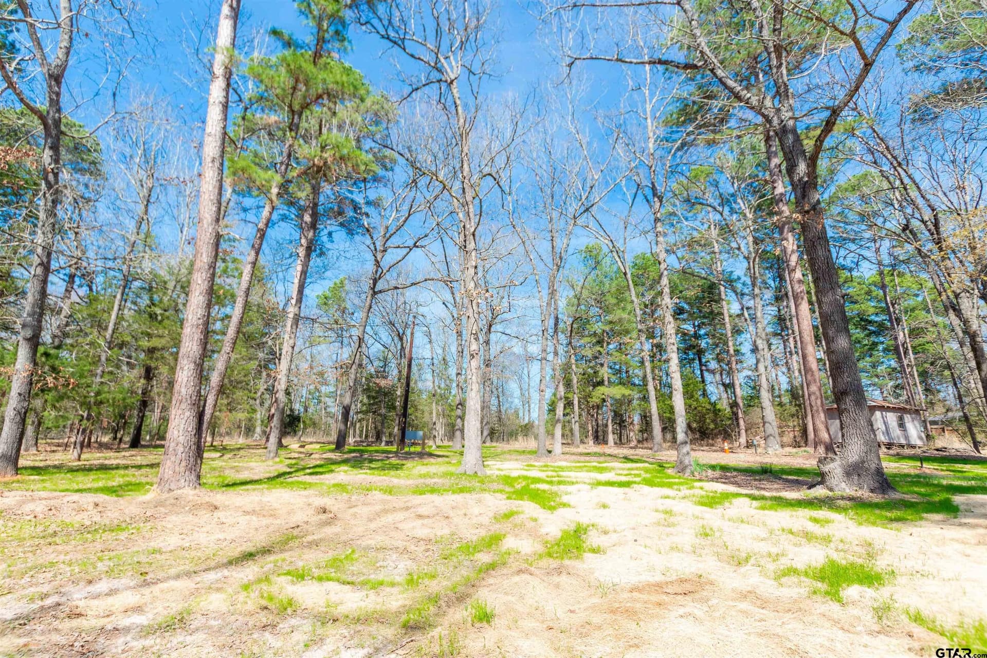 0.9 acres in Wood County - photo 4