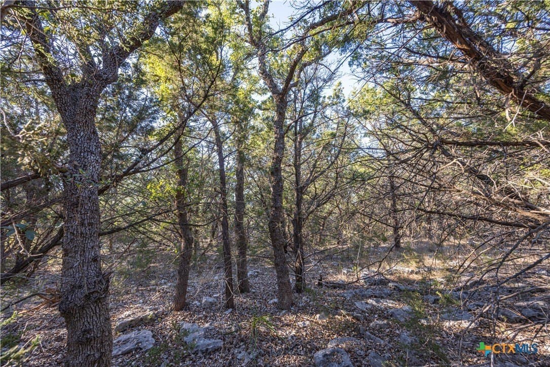 2.25 acres in Hays County - photo 11