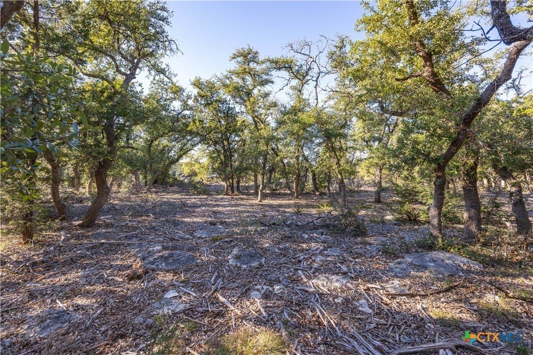 2.25 acres in Hays County - photo 10
