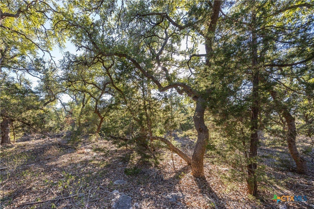 2.25 acres in Hays County - photo 9