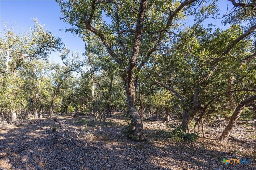 2.25 acres in Hays County - photo 6