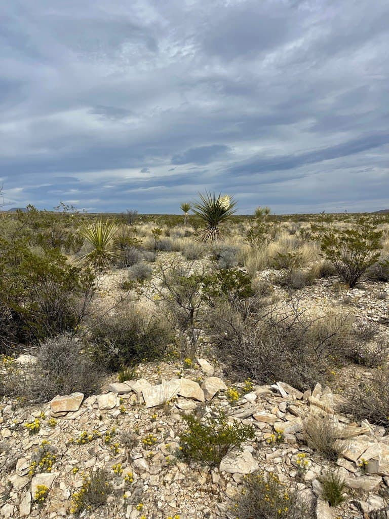 5 acres in Brewster County - photo 6