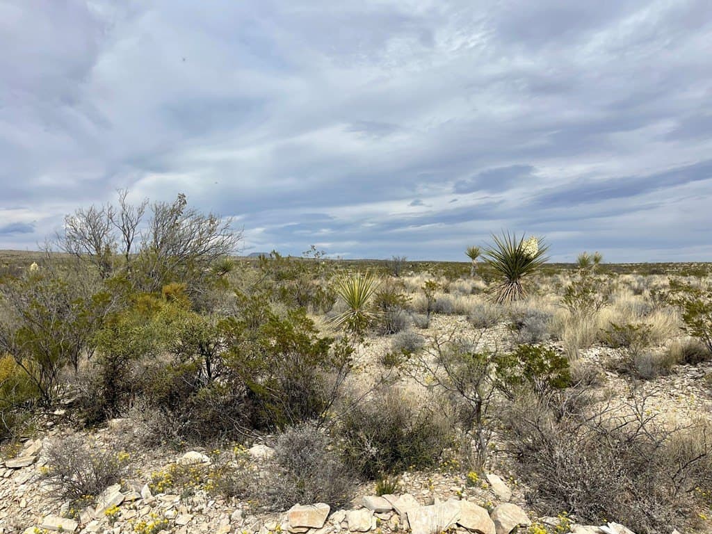 5 acres in Brewster County - photo 4