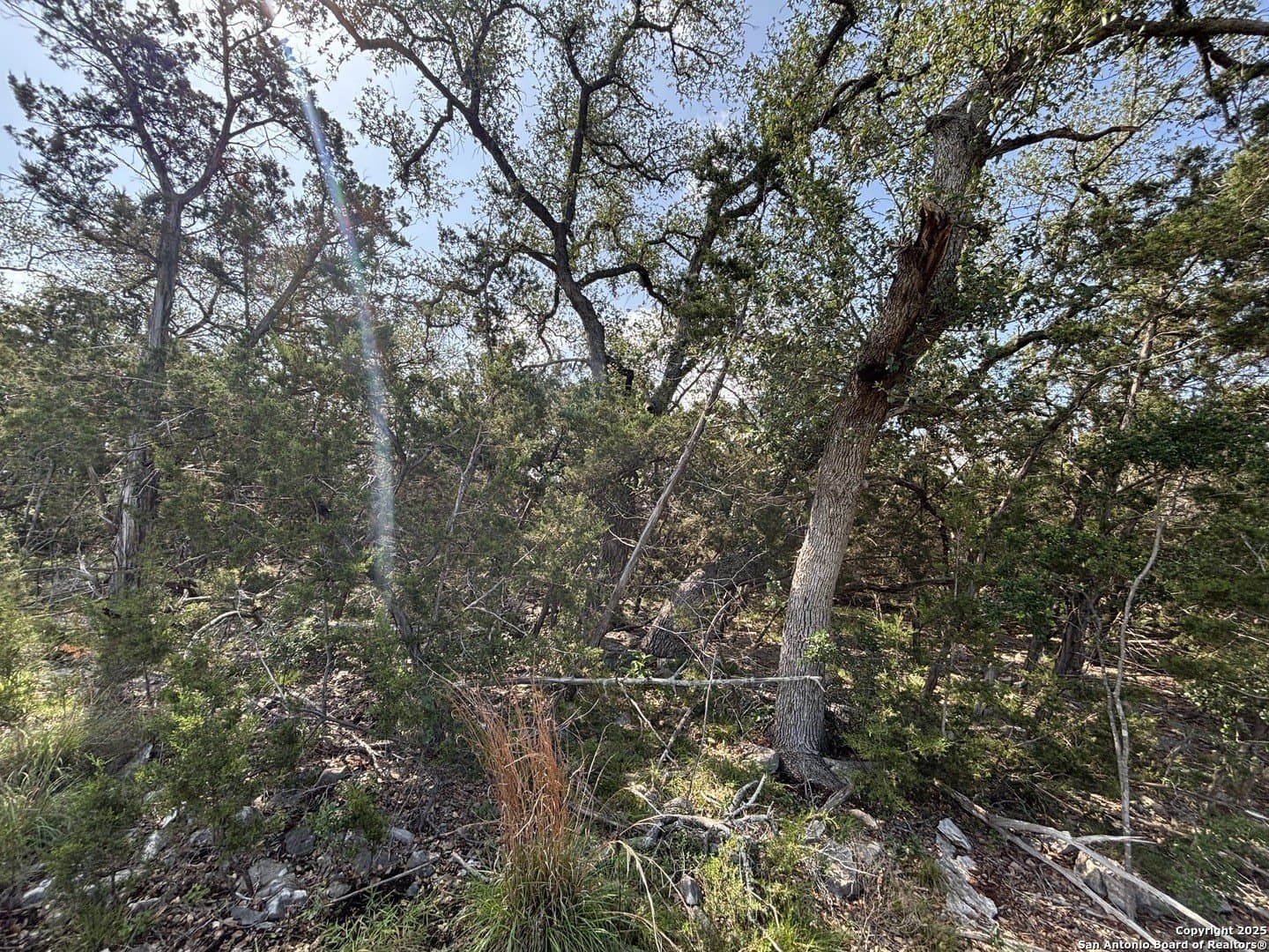 1.14 acres in Comal County - photo 12