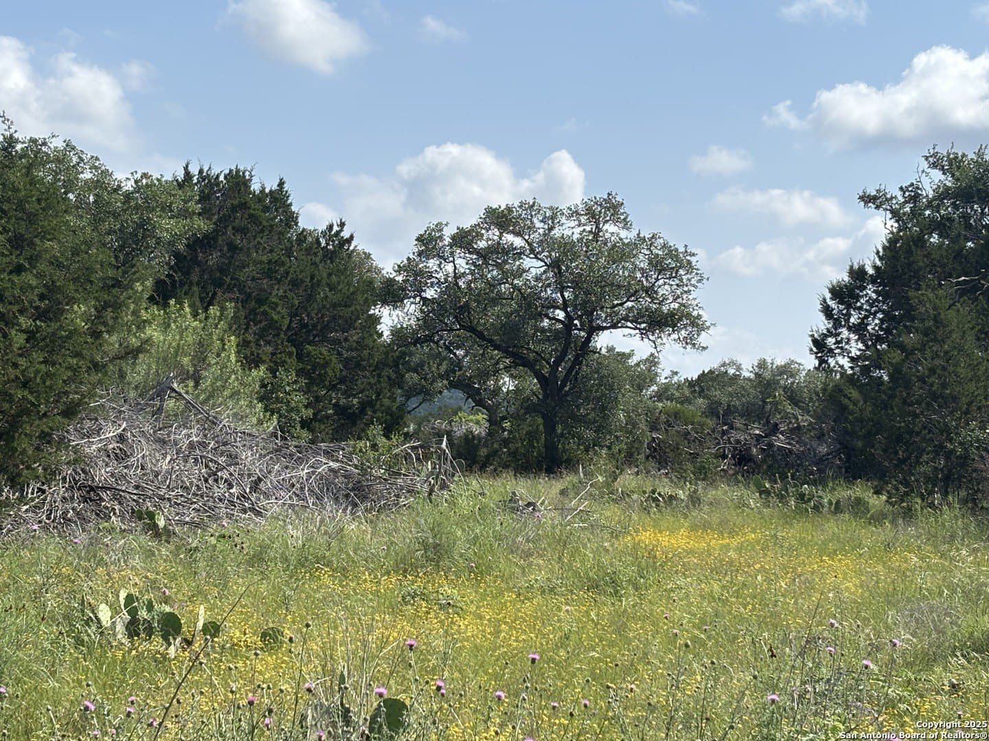1.14 acres in Comal County - photo 9