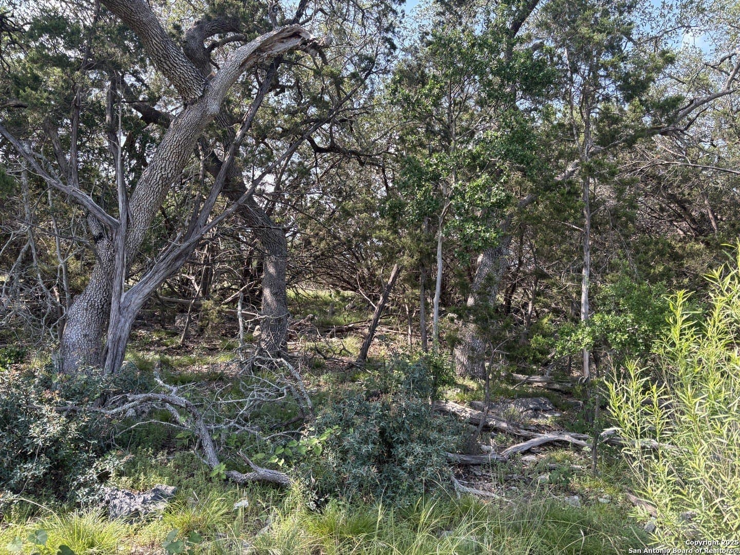 1.14 acres in Comal County - photo 7