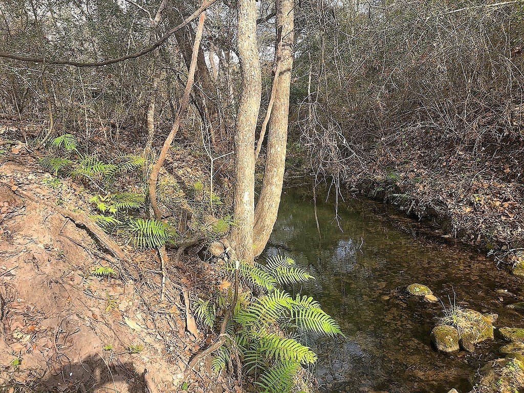 38 acres in Lavaca County - photo 2