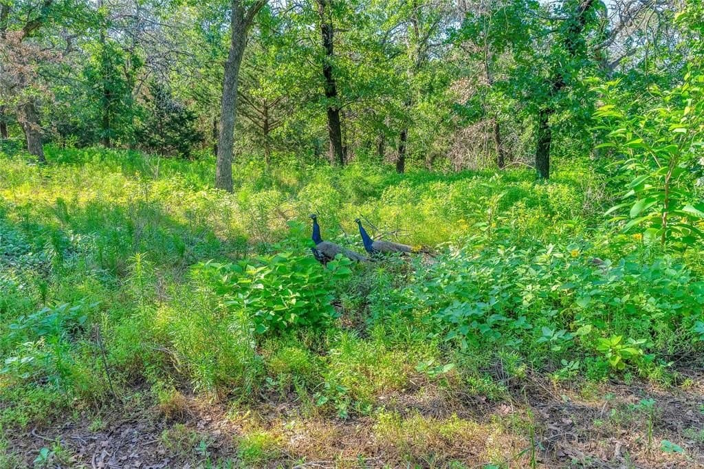 7 acres in Johnson County - photo 11