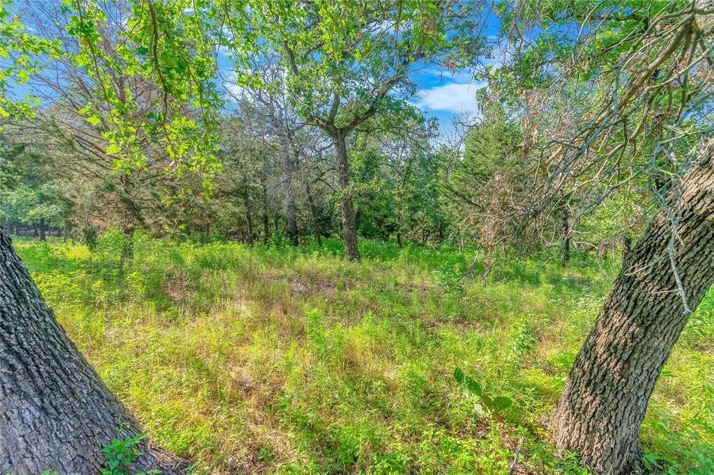7 acres in Johnson County - photo 13