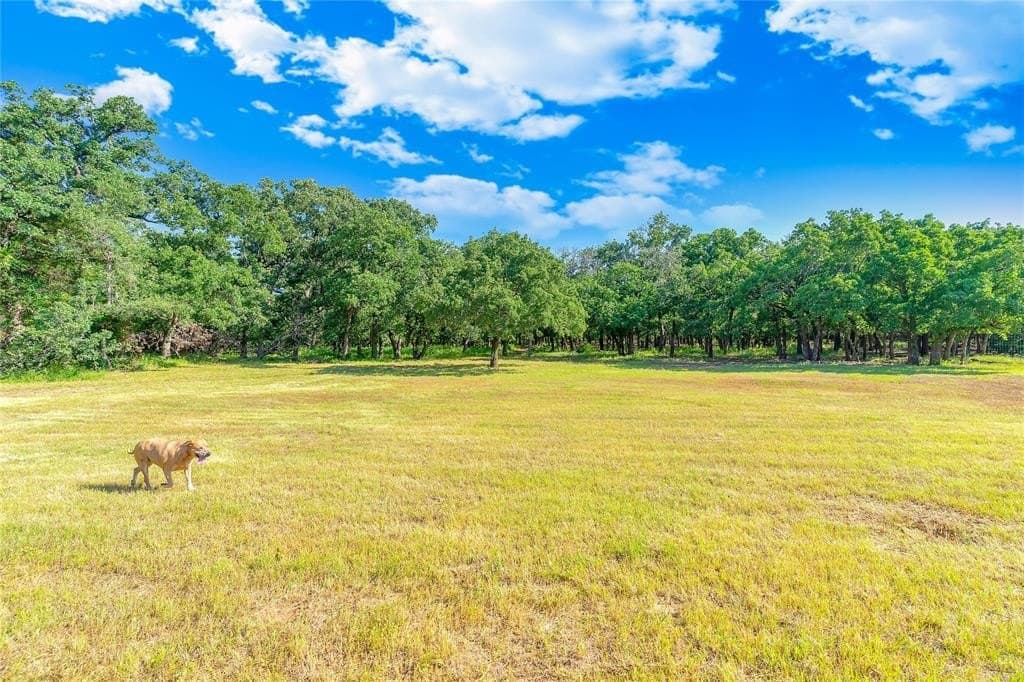 7 acres in Johnson County - photo 6