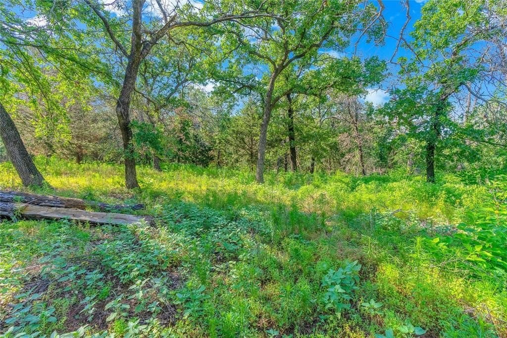 7 acres in Johnson County - photo 12