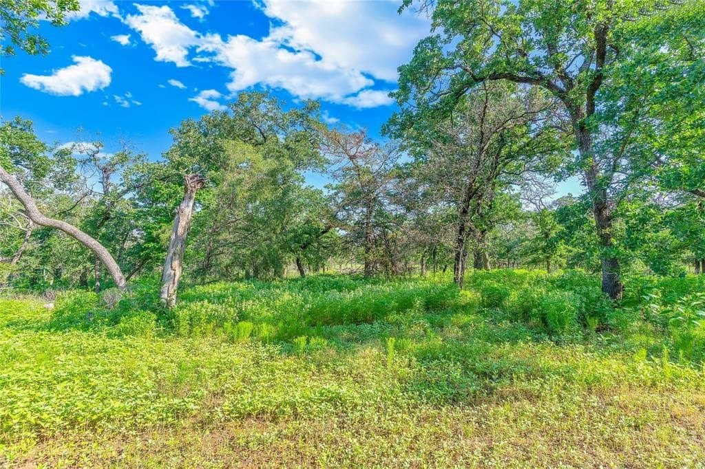 7 acres in Johnson County - photo 14
