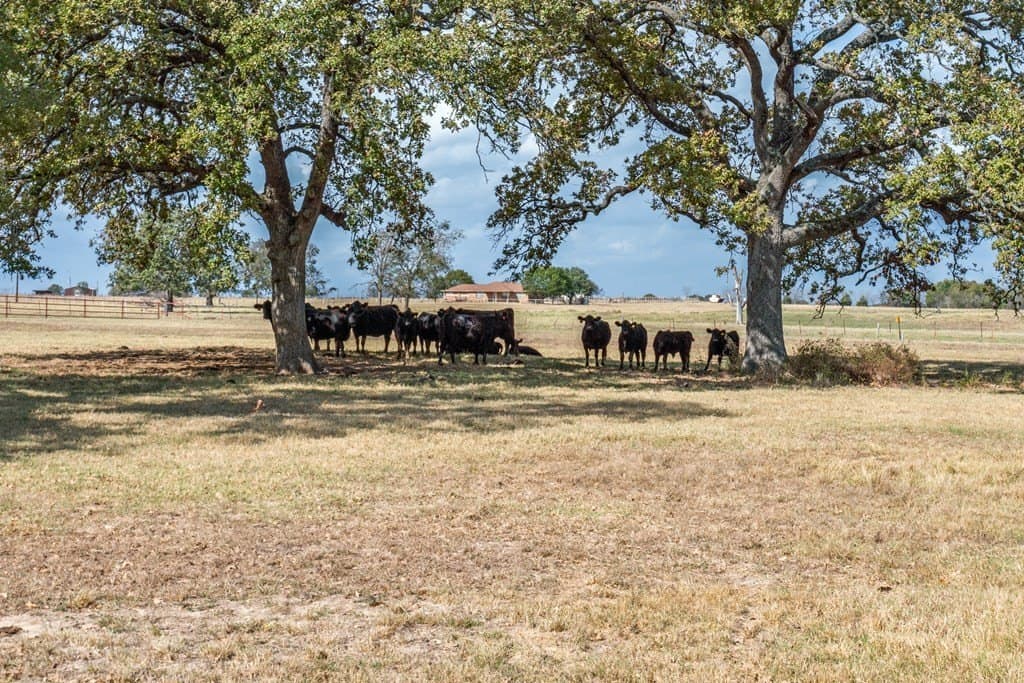 57.51 acres in Van Zandt County - photo 7