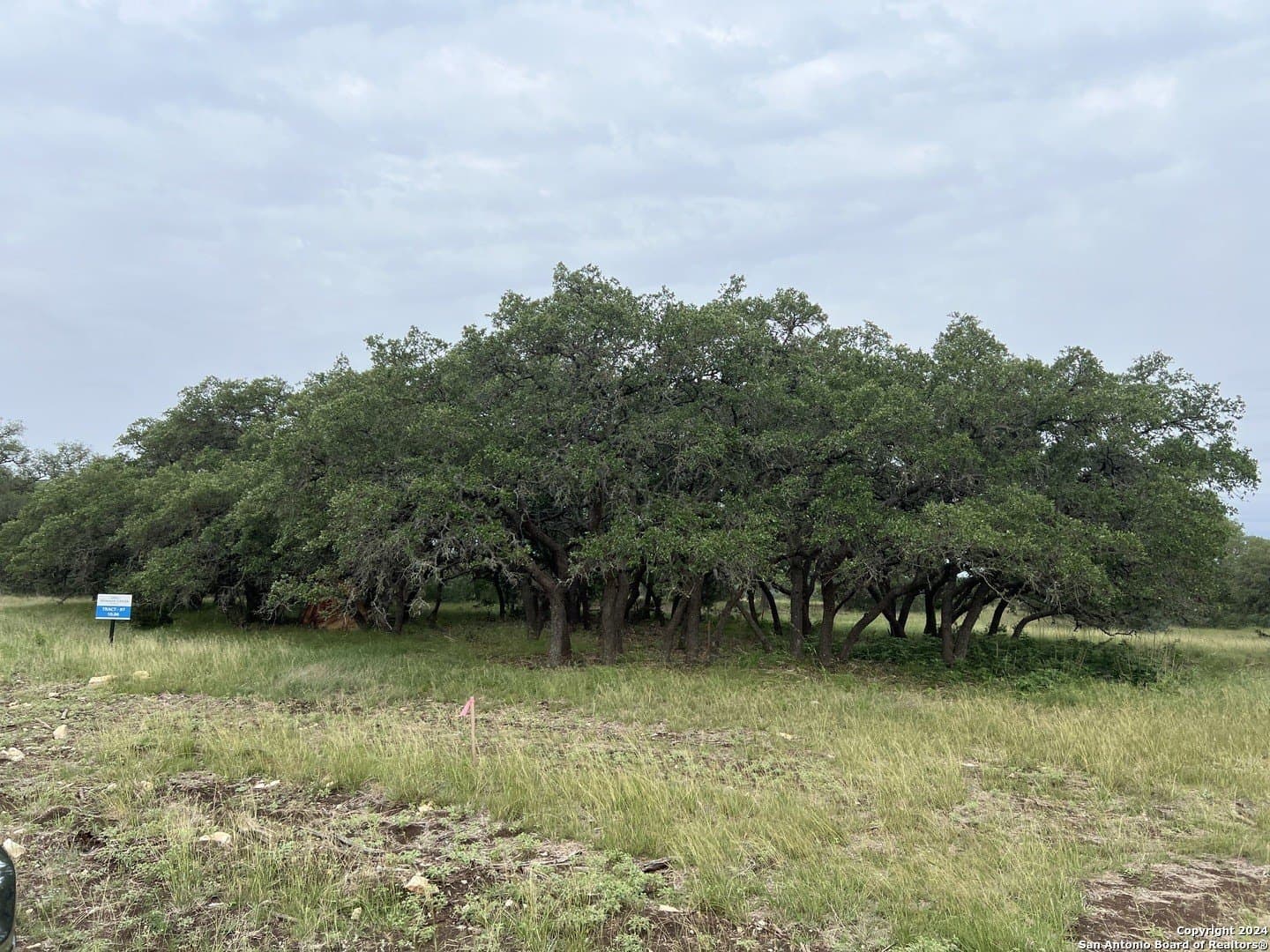 10.02 acres in Bandera County - photo 4