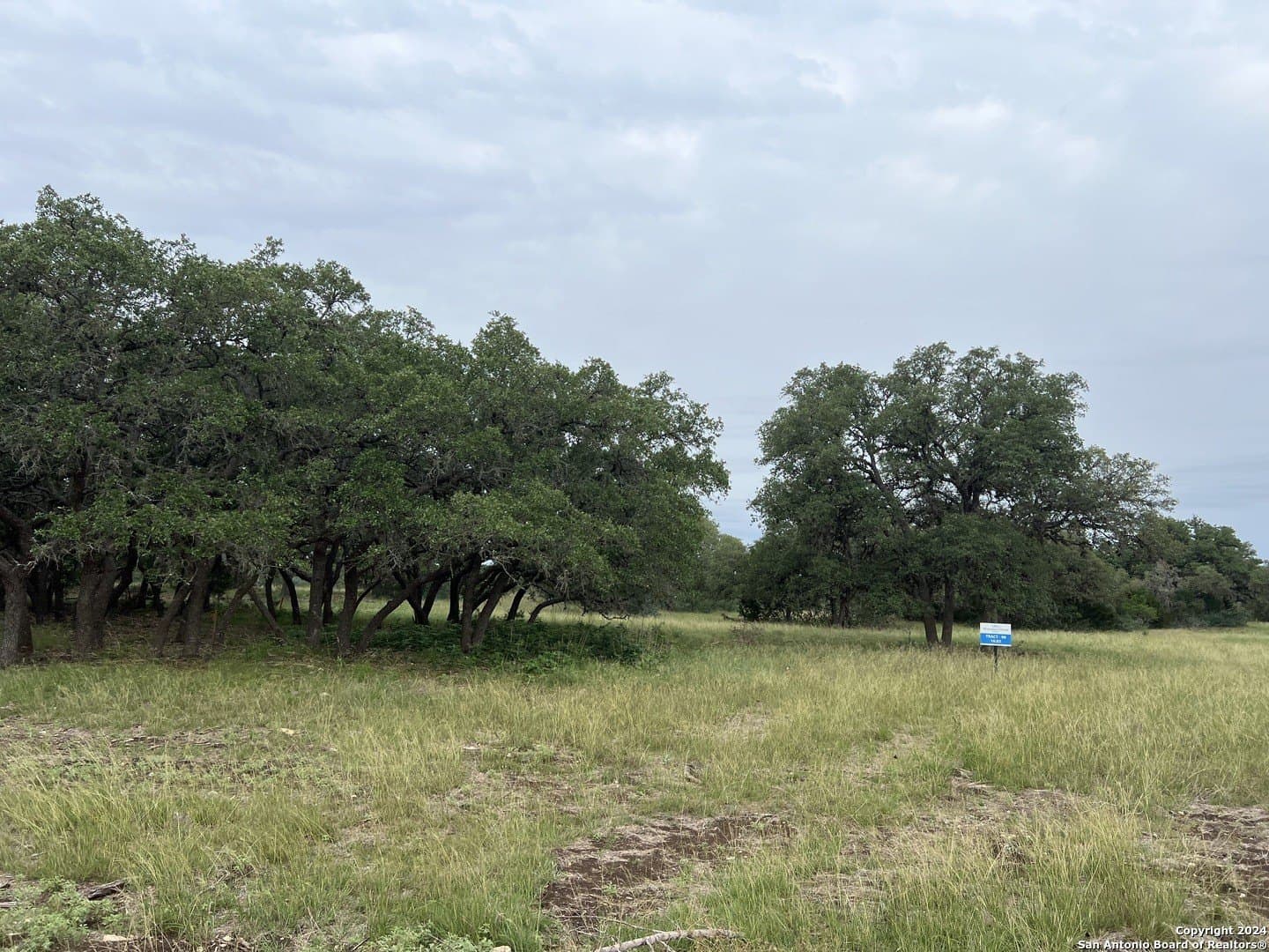 10.02 acres in Bandera County - photo 2